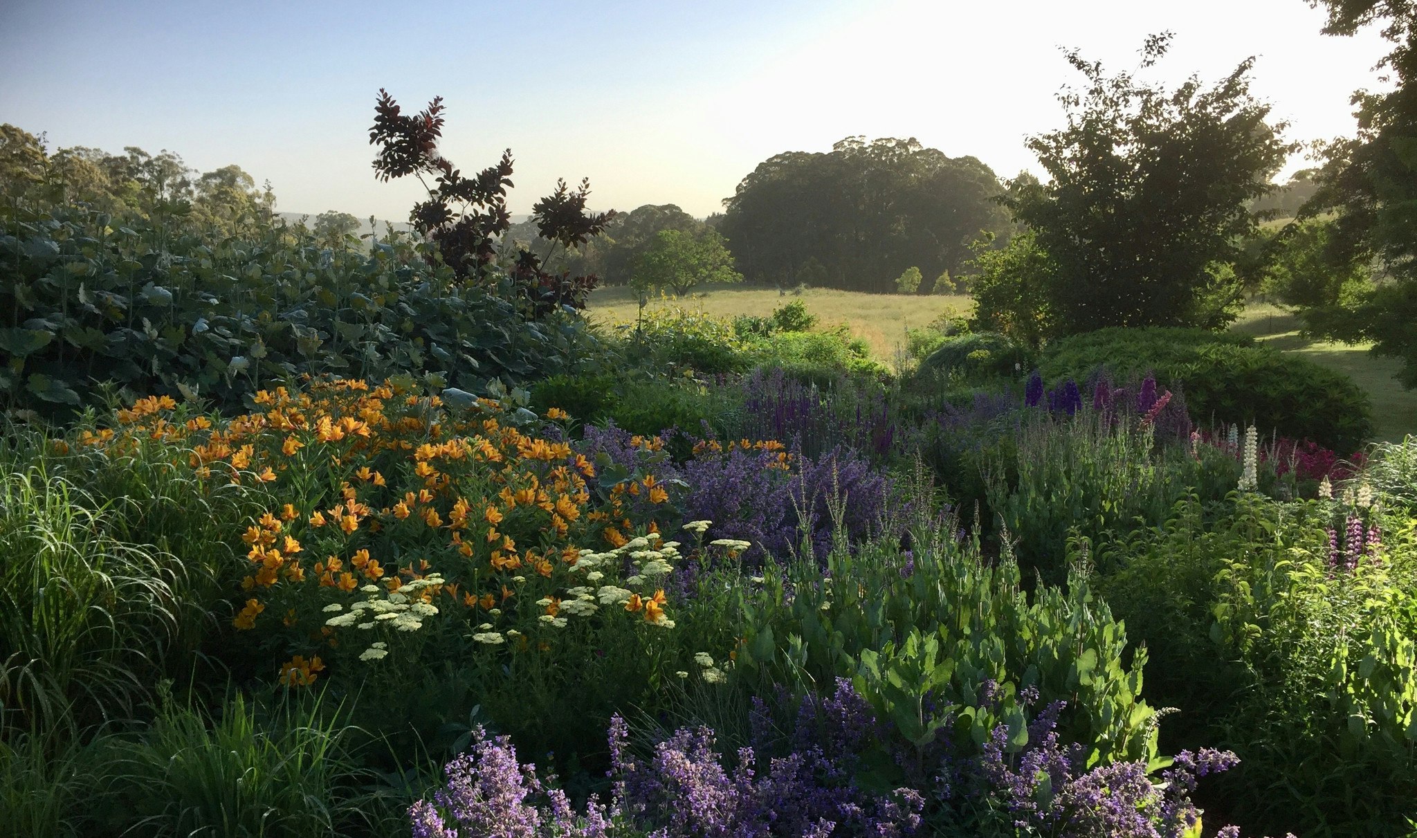 Broad view of flowering gardens at Hillandale.